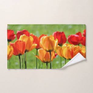 Tulipes jaunes et rouges