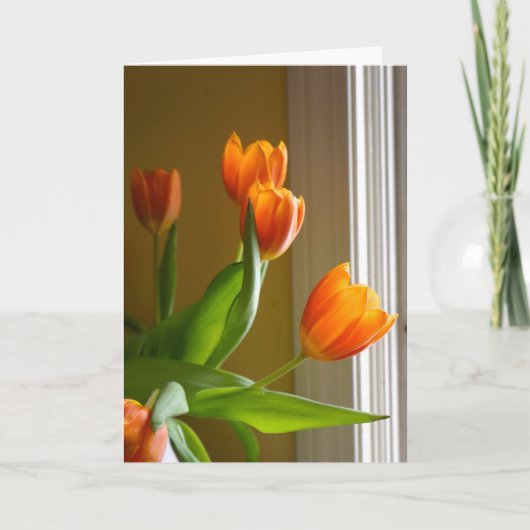 Tulipes orange | Brad Hines Photographe Carte pour (Devant)