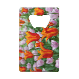 Tulipes orange vif dans le parc