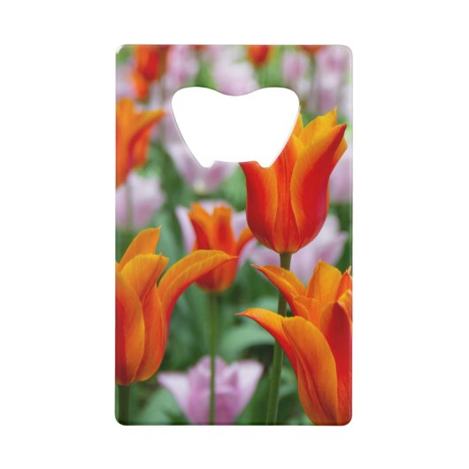 Tulipes orange vif dans le parc (Devant)