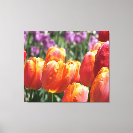 Tulipes oranges Enveloppées Toile Impression (Recto)