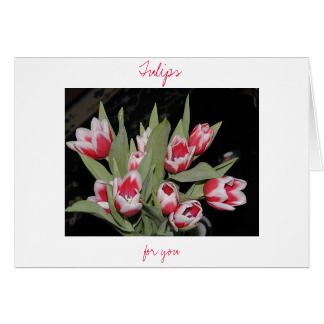 Tulipes Pour Vous (Devant horizontal)