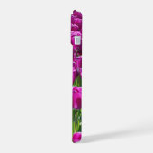Tulipes pourpres (Côté gauche)