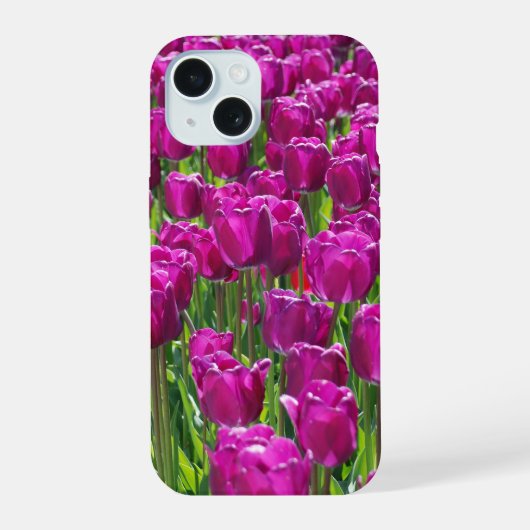 Tulipes pourpres (Verso)