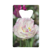 Tulipes rose vif par jour ensoleillé (Dos)