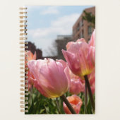 Tulipes roses à Boston (Devant)