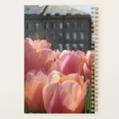 Tulipes roses à Boston (Dos)
