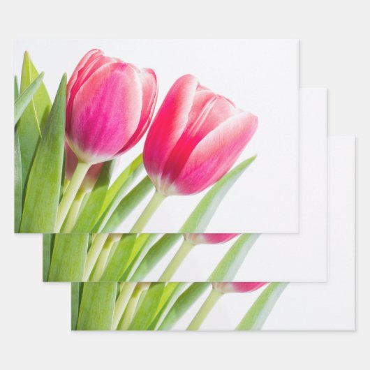 Tulipes roses avec Feuille vert photo (Lot)