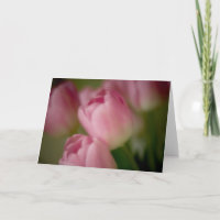 Tulipes roses - Carte de vœux