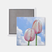 Tulipes roses Ciel bleu Magnet floral (Recto/Verso)