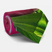 Tulipes Roses Et Blanches Cravate (Roulé)