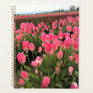 Tulipes roses et rouges dans un champ, Oregon