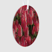 Tulipes roses florales (devant)