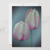 Tulipes roses Invitation à la fête florale (Dos)
