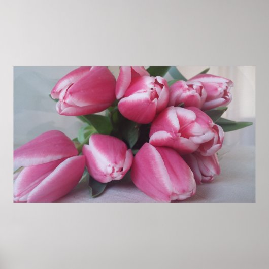 Tulipes roses, Poster (Devant)