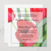 Tulipes rouges épousant des invitations (Devant / Derrière)