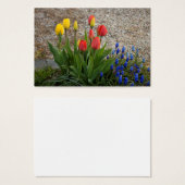 Tulipes Rouges Et Jaunes (Devant & derrière)