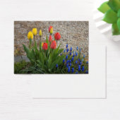 Tulipes Rouges Et Jaunes (Bureau)