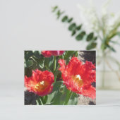 Tulipes rouges fermer do-it-yourself carte postale (Debout devant)