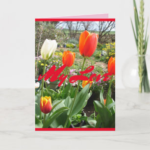 Tulipes rouges Ma carte de fleurs de printemps amo