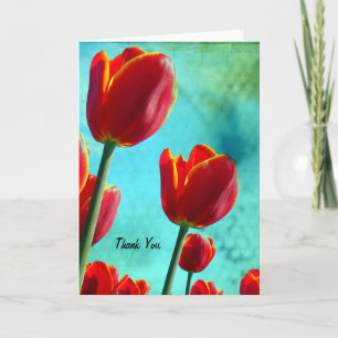 Tulipes rouges, Merci