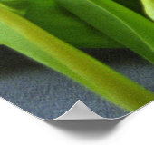 Tulipes rouges pour Kerstin Poster Imprimer (Coin)