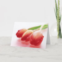 Tulipes rouges simples toute la carte de voeux
