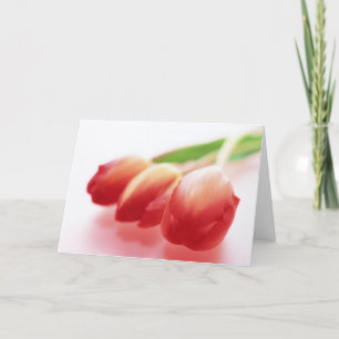 Tulipes rouges simples toute la carte de voeux