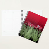 Tulipes rouges sur dégradé (Devant avec enveloppe)