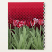 Tulipes rouges sur dégradé (Dos)