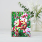 Tulipes spéciales - Carte postale (Debout devant)