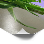 Tulipes tendance V1 Photographie Fleur originale p (Coin)