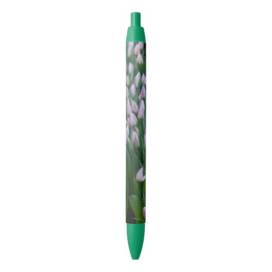 Tulipes violettes Stylo vert (devant Vertical)