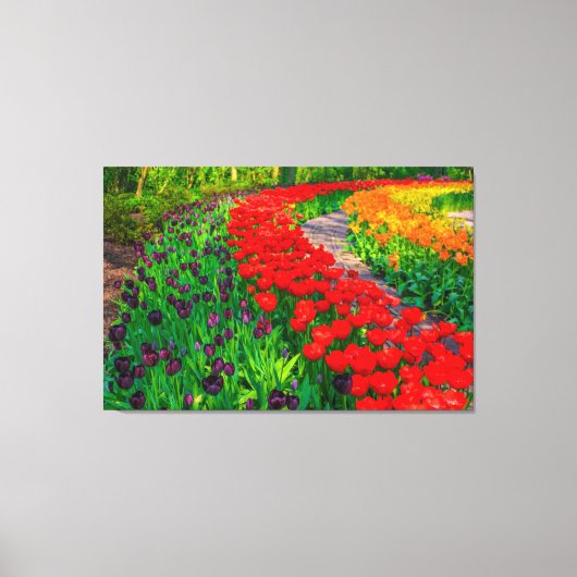 Tulips Canvas Art (Voorkant)