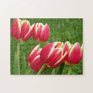Tulips Closeup Legpuzzel