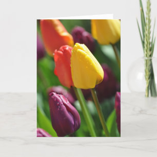 Tulips de printemps coloré jardin carte de voeux
