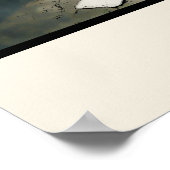 TULIPS en AMSTERDAM, affiche (Coin)