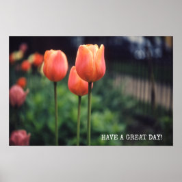 Tulips Floral Tulip Garden Spring Day Flowers Poster