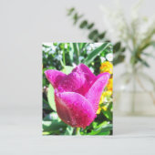 Tulips frais - Carte postale (Debout devant)