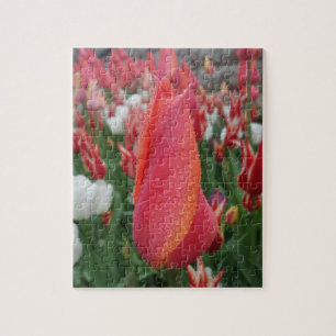Tulips Jigzaag Puzzle Legpuzzel