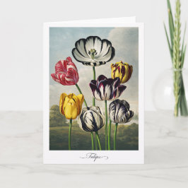 Tulips — Modern Botanical Reinterpretation Kaart
