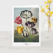 Tulips — Modern Botanical Reinterpretation Kaart (Gele Bloem)
