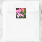 Tulips Peace Flame & Affaire #2 Stickers (Sac)
