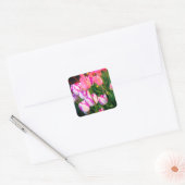Tulips Peace Flame & Affaire #2 Stickers (Enveloppe)