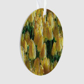 Tulips Sunshine Yellow (devant)