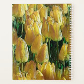 Tulips Sunshine Yellow (Dos)