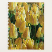 Tulips Sunshine Yellow (Devant)