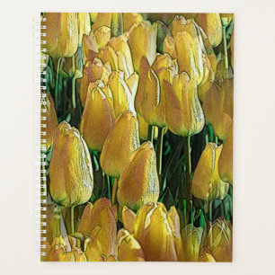 Tulips Sunshine Yellow