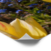 Tulips & vergeet-me-nots poster (Hoek)