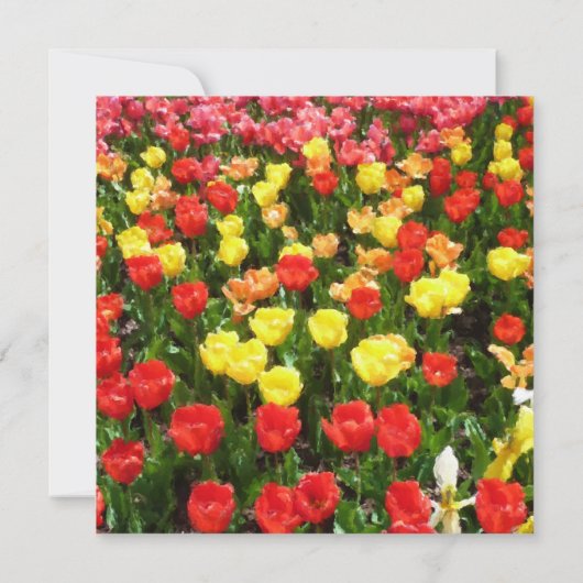 Tulips Weddenschap Bridal Shower Kaart (Achterkant)